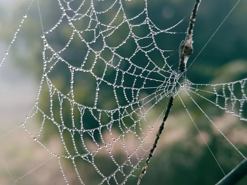 about-02 Puissance Unsplash